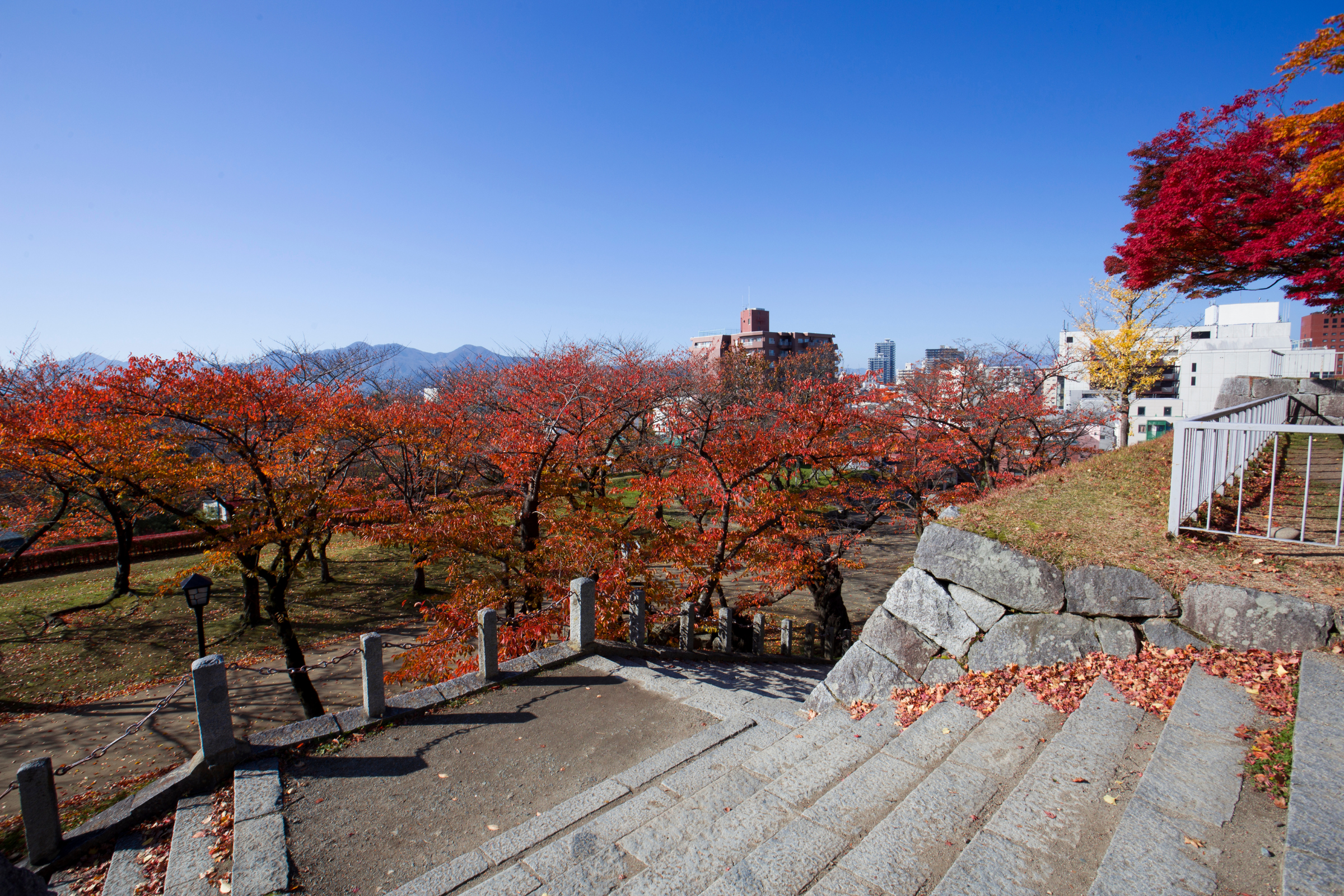 tsunagi, iwate (4).webp
